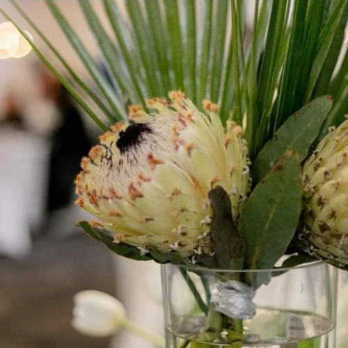 King protea arrangement with tall green leaves in a glass vase